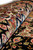 Rolled silk pile catching light across ivory, coral and blue floral border bands