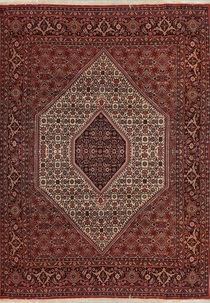 6'4 x 9'2 Persian Bijar Rug