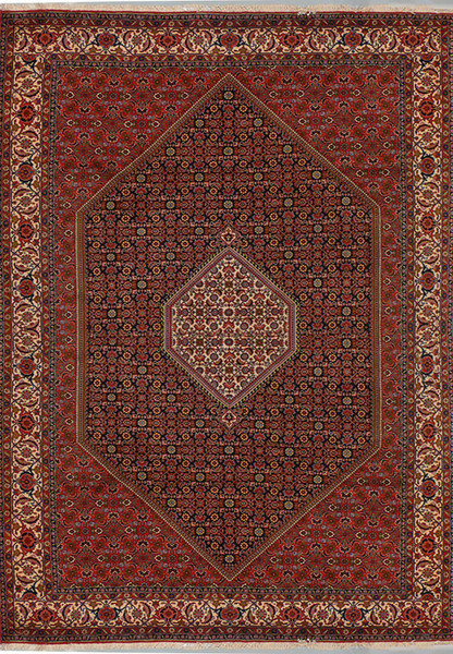 6'7" x 10 Persian Bijar Rug Mahi Design