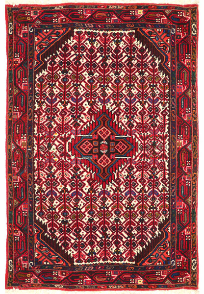 3 x 5 Persian Hamedan Rug | Clearance