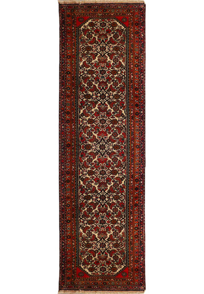 Full view of the 3 x 10 Persian Rudbar Runner Rug showcasing its traditional design.