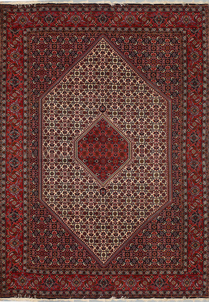 6'6  x 9'9 Persian Bijar Rug Mahi Design