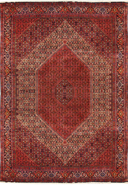 8'2 x 11'6 Persian Bijar Rug