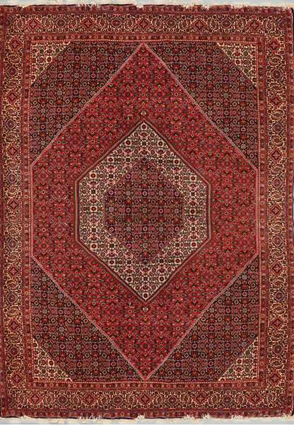 6'6 x 9'8 Persian Bijar Rug