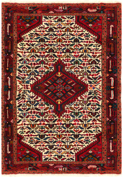 3 x 5 Persian Hamedan Rug 18