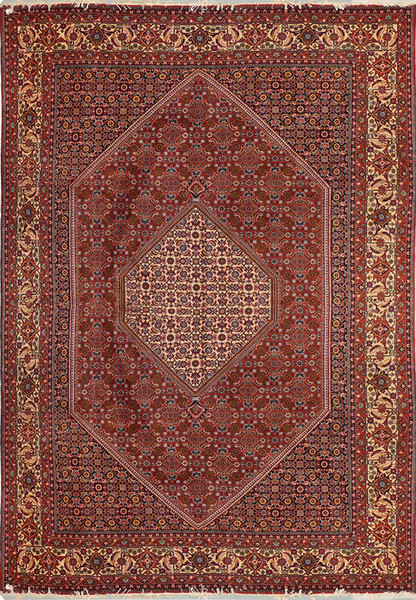 8'3 x 11'5 Persian Bijar Rug - Full view of rug, showcasing intricate design and vibrant colors