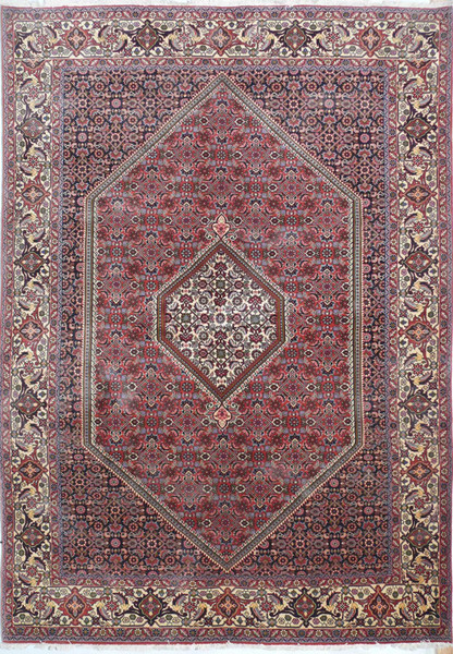 6'6 x 9'4 Persian Bijar Rug
