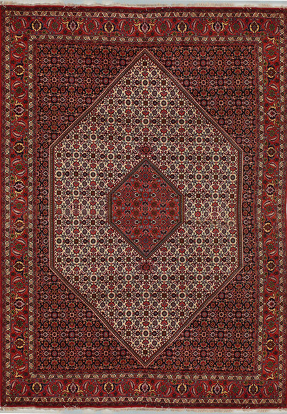 7 x 10 Persian Bijdar Rug Mahi Design