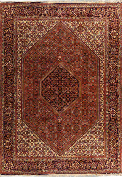 6'5 x 10' Persian Bijar Rug