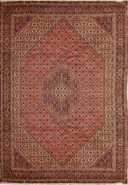 8'3" x 11'6" Persian Bijar Rug