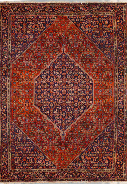 6'8 x 10'2 Persian Bijar Rug