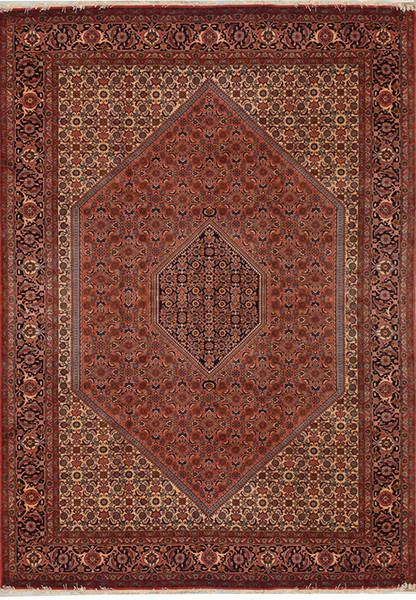 6'7 x 10 Persian Bijar Iron Rug