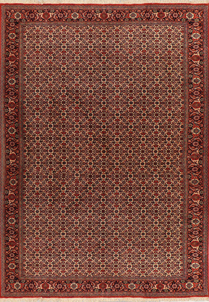 Full view of 6'5 x 9'5 Persian Bijar Rug with all over design