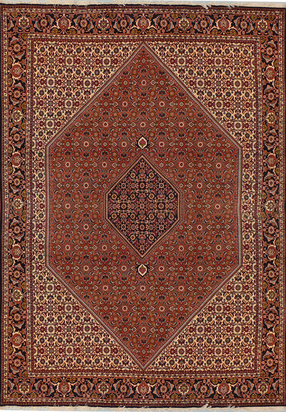 6'8 x 10 Persian Bijar Rug