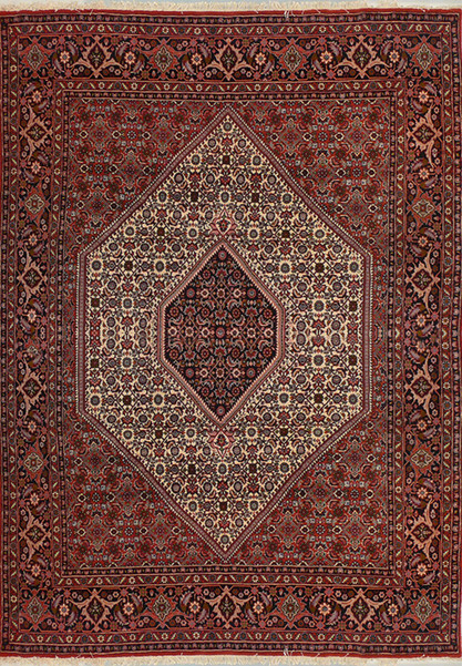 6'4 x 9'2 Persian Bijar Rug