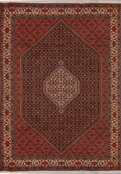 6'7" x 10 Persian Bijar Rug Mahi Design