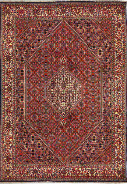 8'1 x 11'10 Persian Bijar Rug