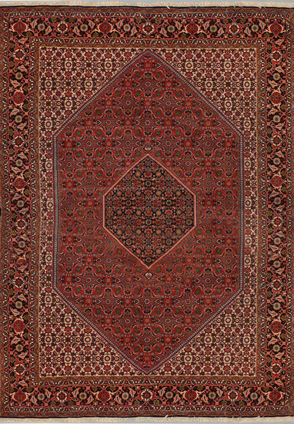 6'3 x 9'6 Persian Bijar Rug Mahi Design
