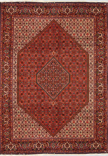 7 x 10 Persian Bijar Rug Diamond Medaillon