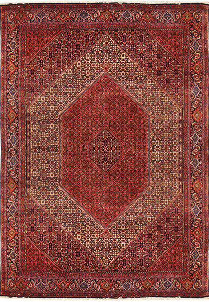 8'2 x 11'6 Persian Bijar Rug