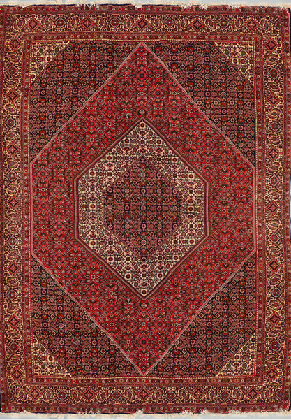 6'6 x 9'8 Persian Bijar Rug