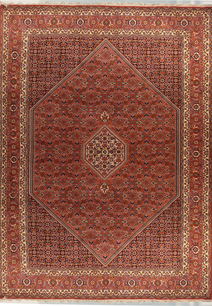 7 x 10 Persian Bijar Rug
