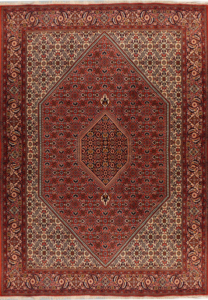 6'7" x 9'9" Persian Bijar Rug