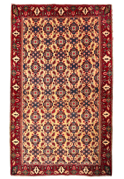 Full view of a 3'4 x 5'3 Persian Hamedan Rug, highlighting its intricate patterns and rich color palette.