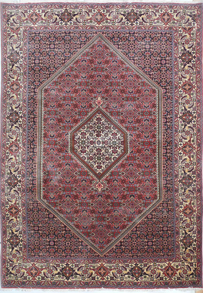 6'6 x 9'4 Persian Bijar Rug