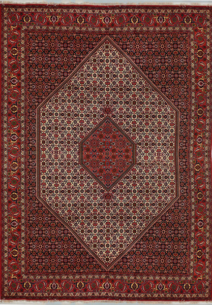 7 x 10 Persian Bijdar Rug Mahi Design