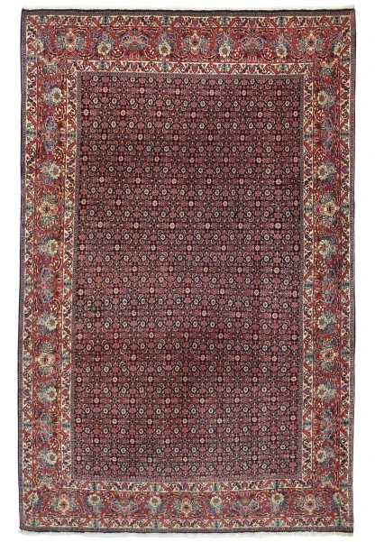 Hand-knotted 6x10 Persian Bijar rug full view with midnight navy field, Herati design, and red floral border