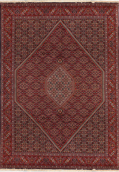 6'5" x 9'8" Persian Bijar Rug