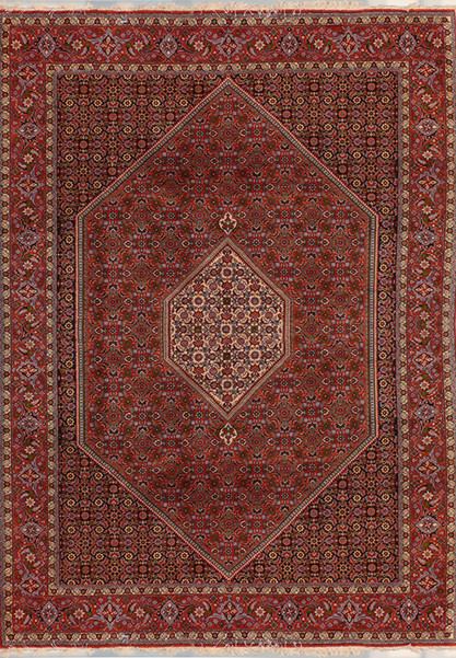 6'4" x 9'6" Persian Bijar Rug