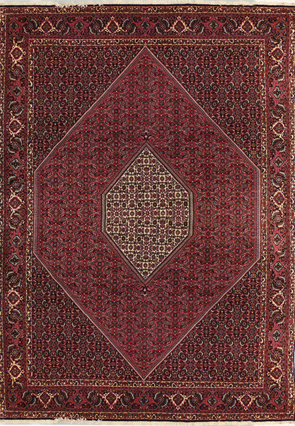 7 x 10'5 Persian Bijar Rug