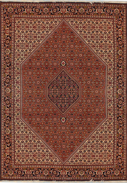 6'8 x 10 Persian Bijar Rug