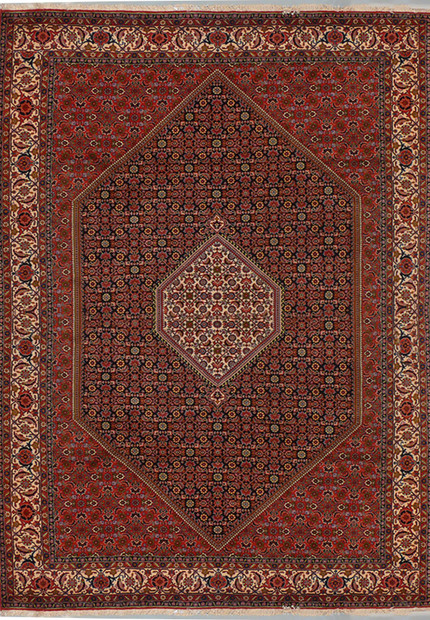 6'7" x 10 Persian Bijar Rug Mahi Design