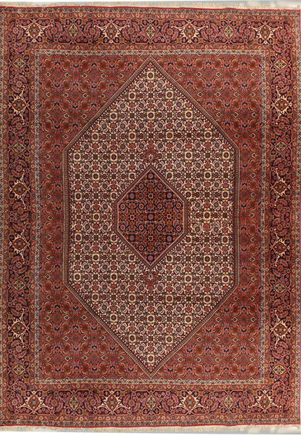 6'6" x 9'7" Persian Bijar Rug