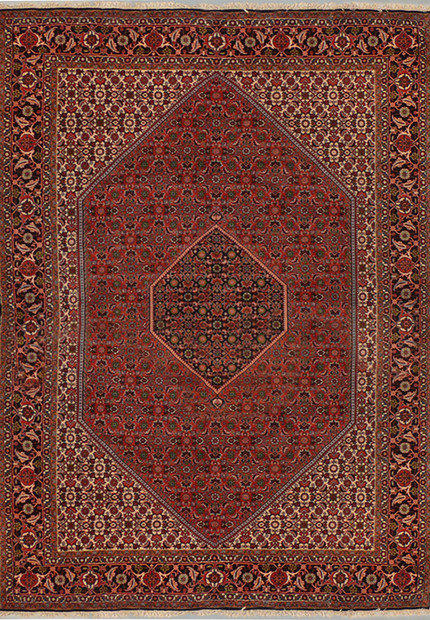 6'3 x 9'6 Persian Bijar Rug Mahi Design