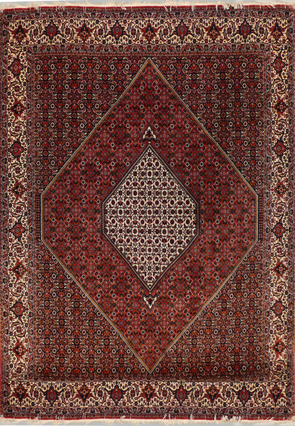 6'5" x 9'7" Persian Bijar Rug Mahi Design
