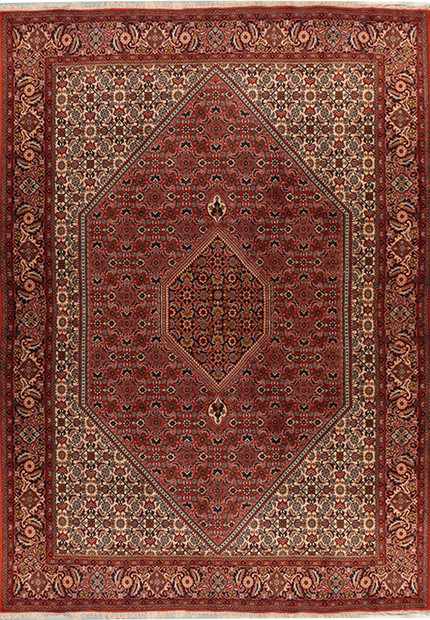 6'7" x 9'9" Persian Bijar Rug