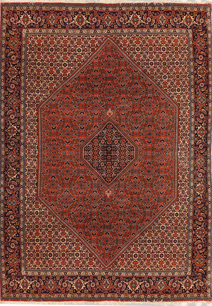 6'6 x 9'8 Persian Bijar Rug Mahi Design
