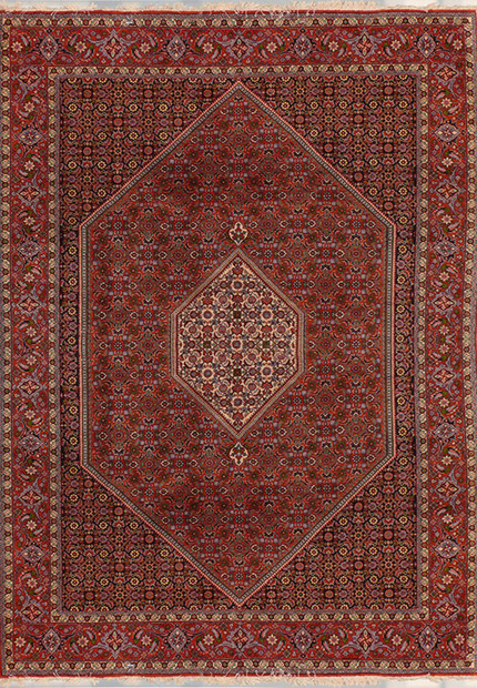 6'4" x 9'6" Persian Bijar Rug