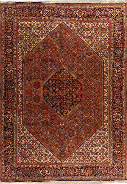 6'5 x 10' Persian Bijar Rug