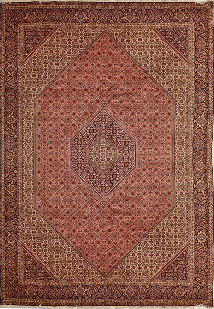 8'3" x 11'6" Persian Bijar Rug