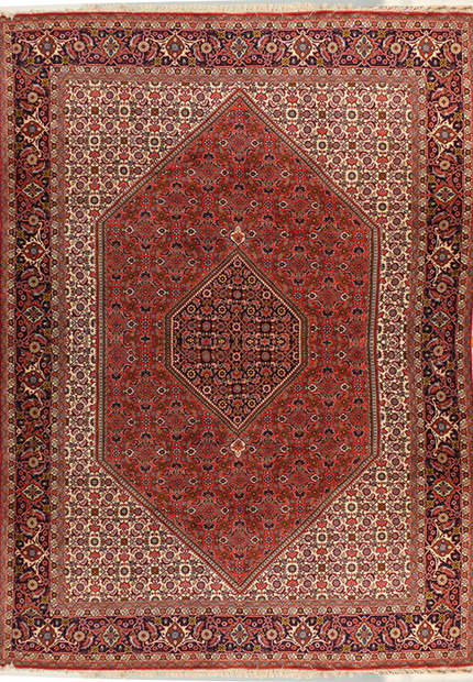 Full view of the 6'7 x 9'9 Persian Bijar Iron Rug  showcasing its detailed patterns