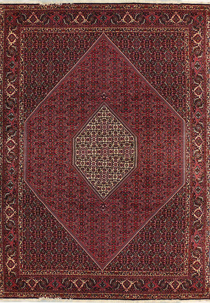 7 x 10'5 Persian Bijar Rug