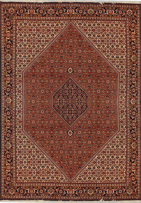 6'8 x 10 Persian Bijar Rug