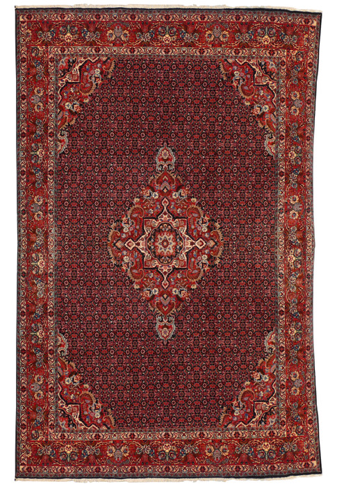 6'7" x 10'3" Persian Bijar Rug