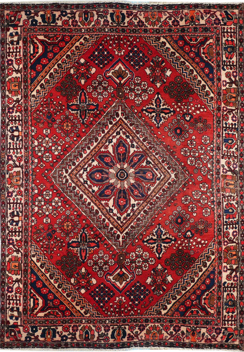 7'2 x 10 Persian Bakhtiari Rug