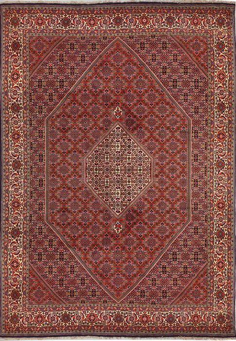 8'1 x 11'10 Persian Bijar Rug